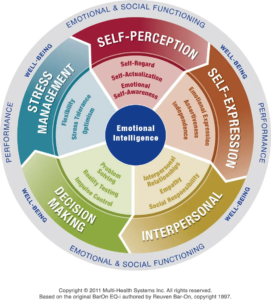 EQ-i 2.0 Model