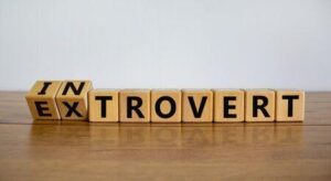 Introvert - Extrovert Image